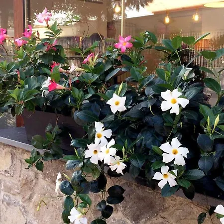 B&B Sorrento Central Panzió