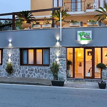 B&B 센트럴 4*