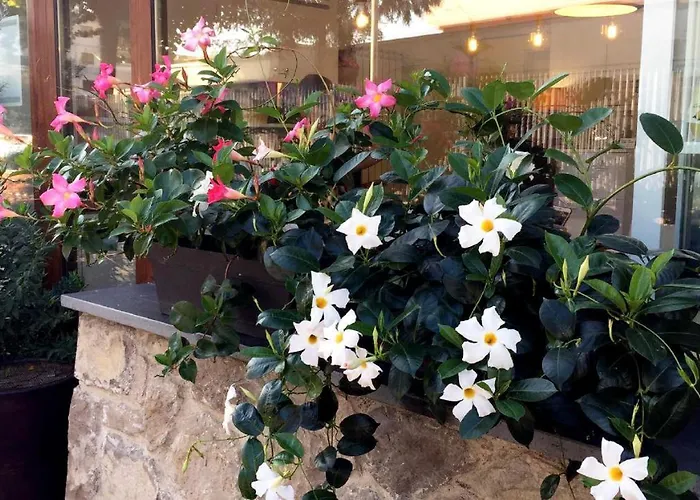 B&B Sorrento Central Отель типа 